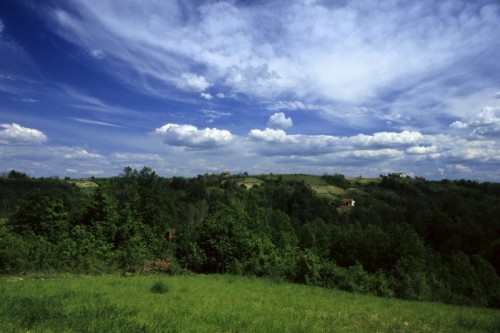 Rocchetta Tanaro - Il parco di Rocchetta Tanaro