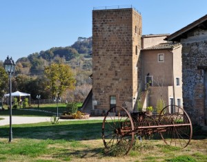 Una Torre e la Sua Storia