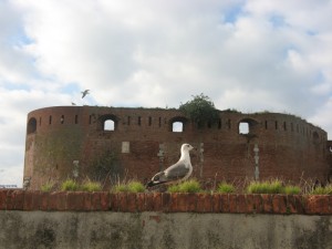 Sono di guardia