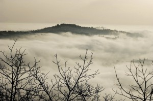” Staffolo ” tra la Nebbia