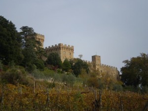Prospettiva del castello