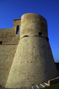 Un castello sconfitto dalla natura 4