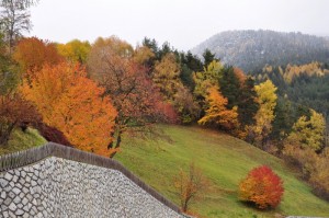 Autunno a Brixen
