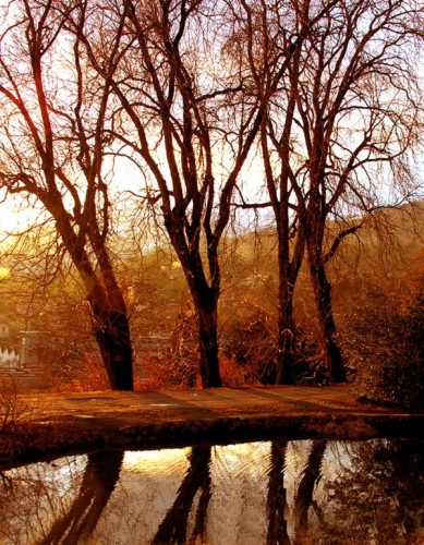 Biella - Inverno in Burcina Biella - Inverno in Burcina