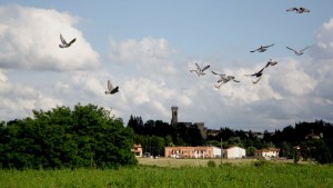 in volo verso Scarperia