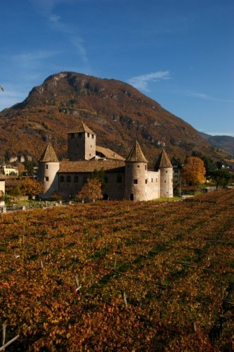 Bolzano - La vigna del Castello