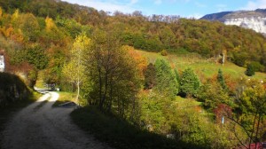 Autunno in Guaiva