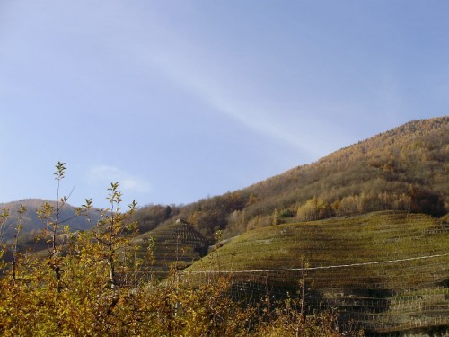 Bianzone - Le vigne di Bianzone Bianzone - Le vigne di Bianzone