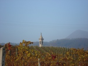 Campanile tra i vigneti