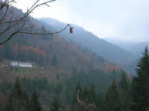 Valle Santa Felicita e Malga Oretto - Massiccio del Grappa