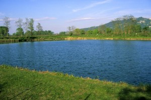 Il lago di Brandizzo