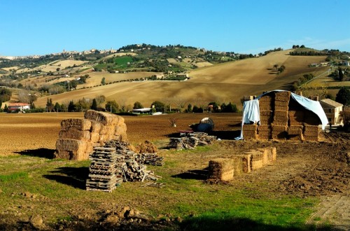 Recanati - nell'aia