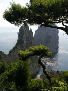 la luce di Capri