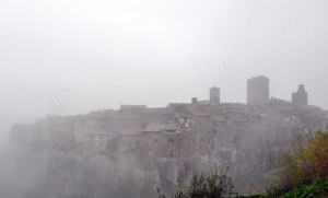 Stormi di Uccelli Nella Nebbia