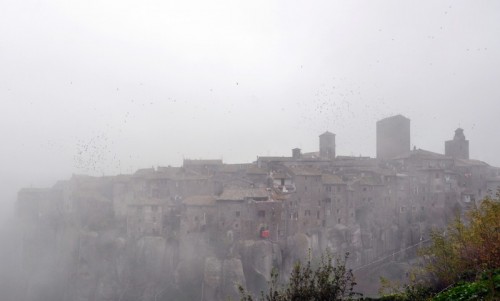 Vitorchiano - Stormi di Uccelli Nella Nebbia