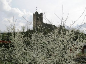 Primavera a Castel Grumello