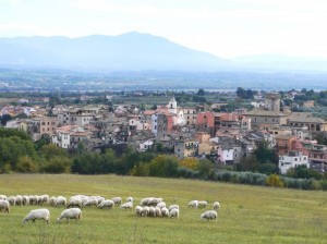 Tra passato e presente