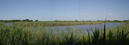 Codigoro - Canneviè Codigoro - Canneviè