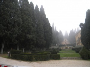 panoramica con nebbia   sul parco di villa fidelia