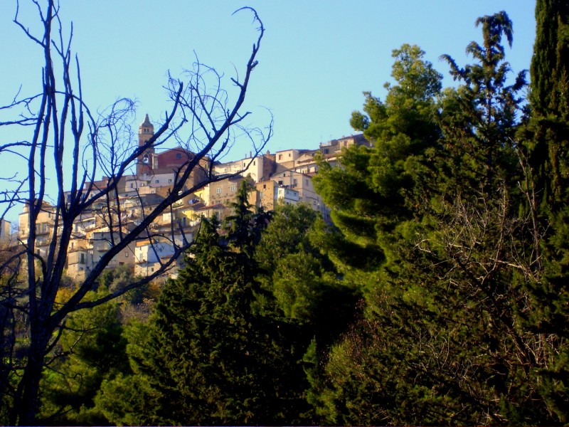 ''Famoso per il concerto bandistico'' - Roccanova