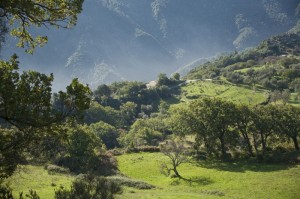 Paesaggio d’Aspromonte