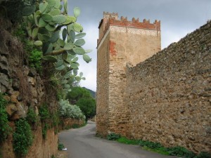 Torre e muara Pisane