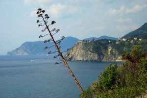 Corniglia