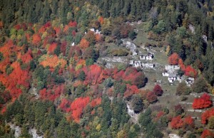 Autunno di fuoco tra i ciliegi di Prà Marsciana