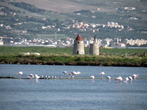 Tinte di rosa nelle saline