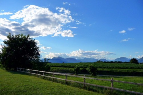 Pagnacco - Al di là della staccionata Pagnacco - Al di là della staccionata