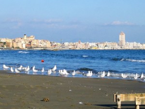 Anche i gabbiani la guardano…