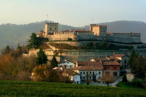 Montesegale, il castello