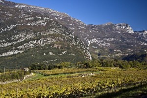 L’autunno in Valle dei Laghi