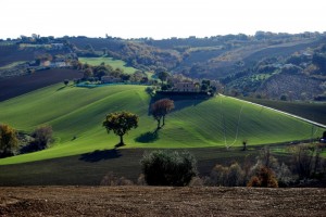 in cima alla collina