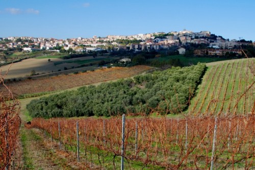 Camerano - Citta' e campagna Camerano - Citta' e campagna