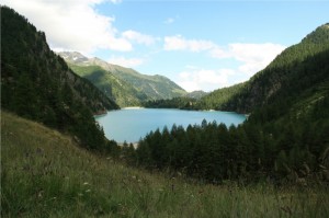 Bacino Alpe dei Cavalli -Cheggio-1550m