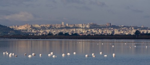 Cagliari - Cagliari Cagliari - Cagliari