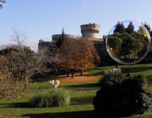 Bubble on Volterra
