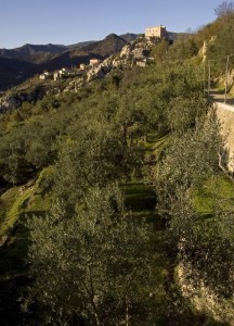 Ulivi, castello e borgo