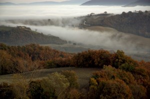 Nebbia a Molleone