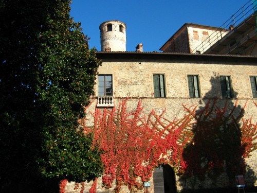 Manta - V1t3 v3rg1n3 XD Manta - V1t3 v3rg1n3 XD