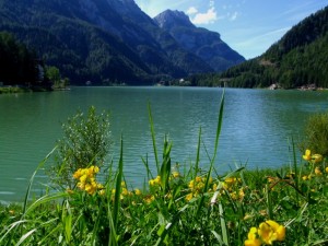 Lago di alleghe………….. un giorno d’estate
