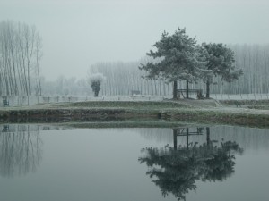 CUGGIONO - Fraz. Castelletto Ticino