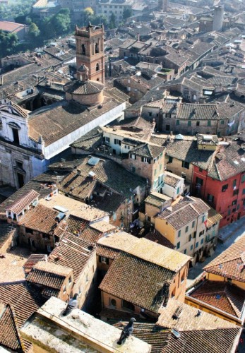 Siena - ...insieme ai piccioni