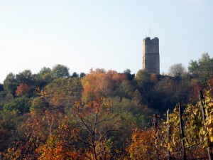 La Torre delle Castelle dai vigneti