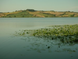 Chiusi - Lago - Panorama I