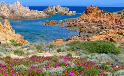 Trinità d'Agultu e Vignola - A Calarossa la natura trionfa nei colori 