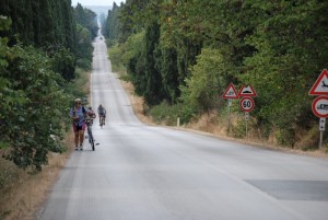 Strada che porta a Bolgheri
