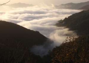 Nebbia in Aspromonte - frazione Gambarie