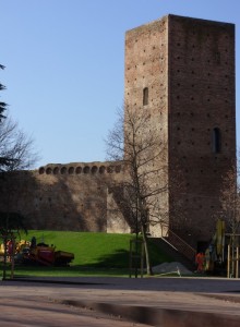 Uno Scorcio del Castello di Rovigo
